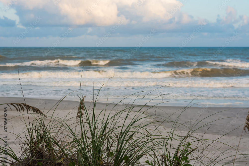 Gorgeous beach scene with waves and sea grasses. North Carolina.