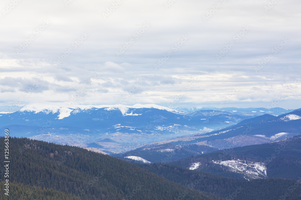 winter panorama of Carpathian Mountains