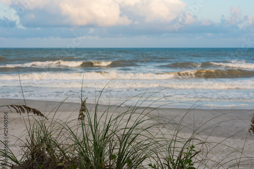Gorgeous beach scene with waves and sea grasses.  North Carolina. 