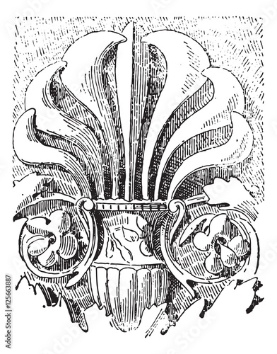 Palmette at Temple of Vesta in Rome, vintage engraving.