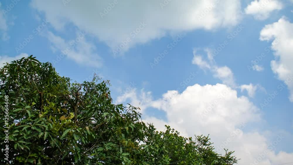 Clouds and tree top movement, 4K time lapse Clouds and tree top movement, 4K time lapse