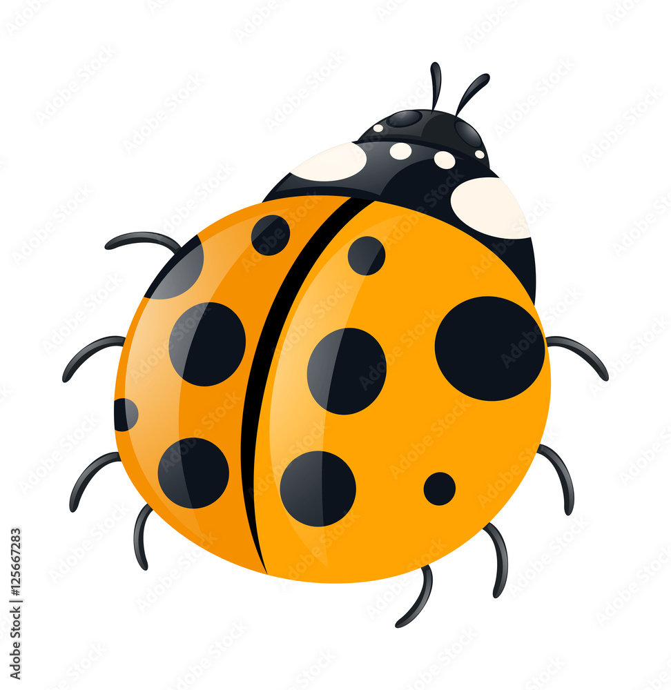 Ladybug with yellow wings
