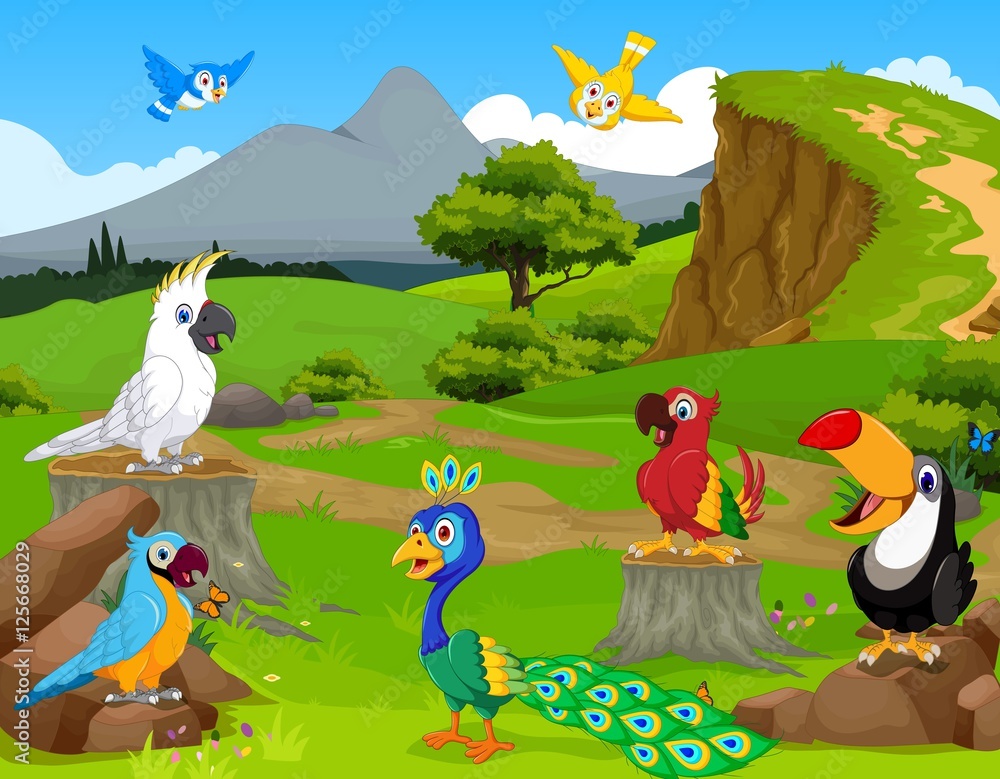 Obraz premium funny different kind of birds cartoon the jungle with landscape background