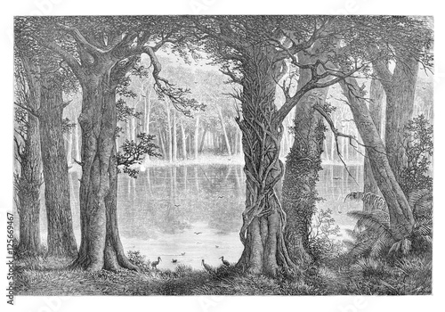Obraz na płótnie Lake Ligouri, vintage engraving