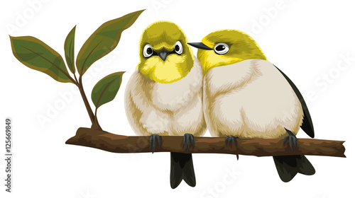 Vector of lovebirds on branch.