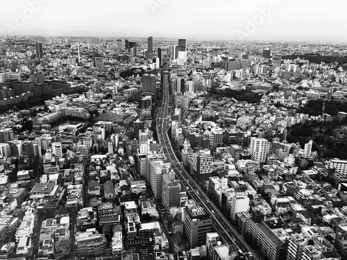 Wall Mural Tokyo Highway