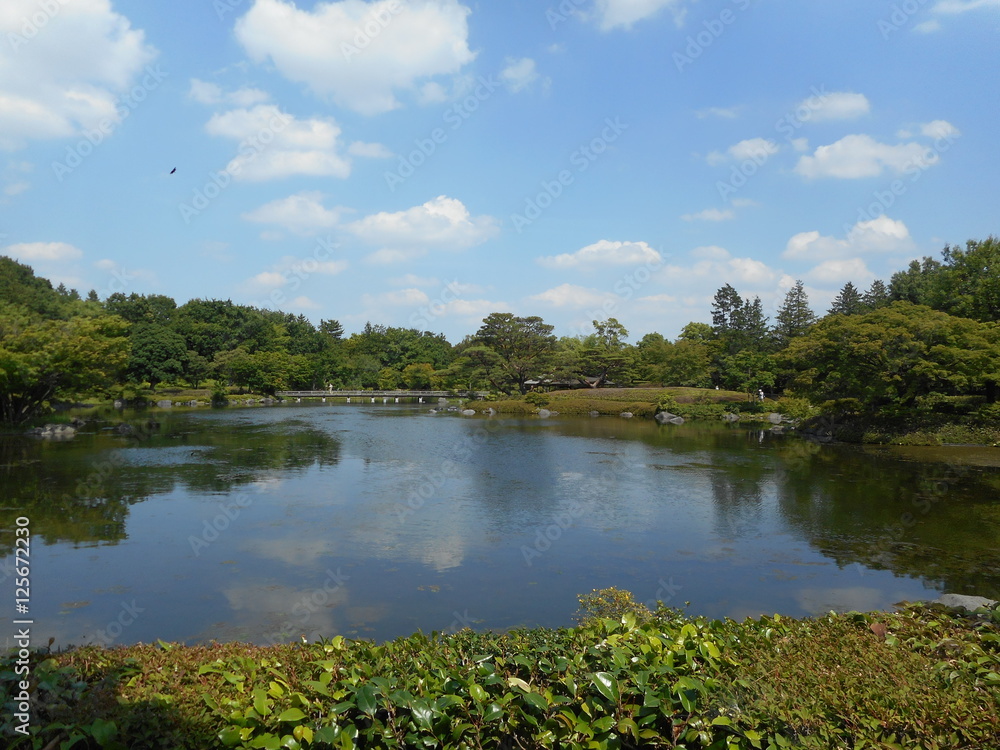 昭和記念公園－水鳥の池
