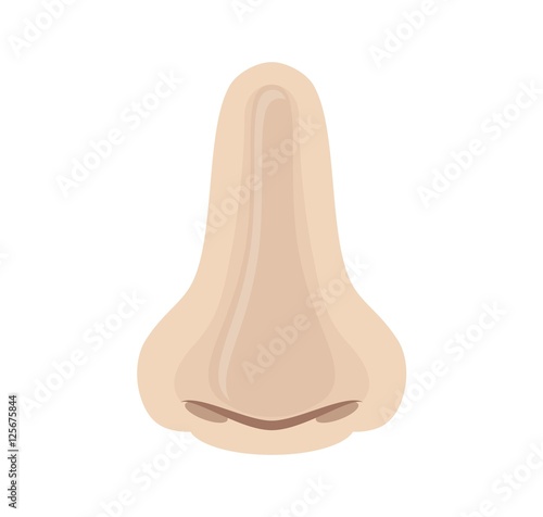 human nose on white background