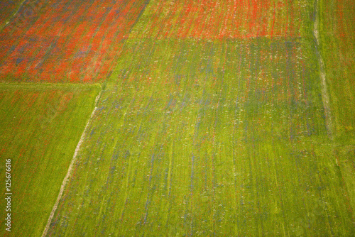 Castelluccio di Norcia photo