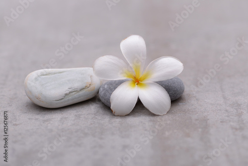frangipani with spa stones on grey background.