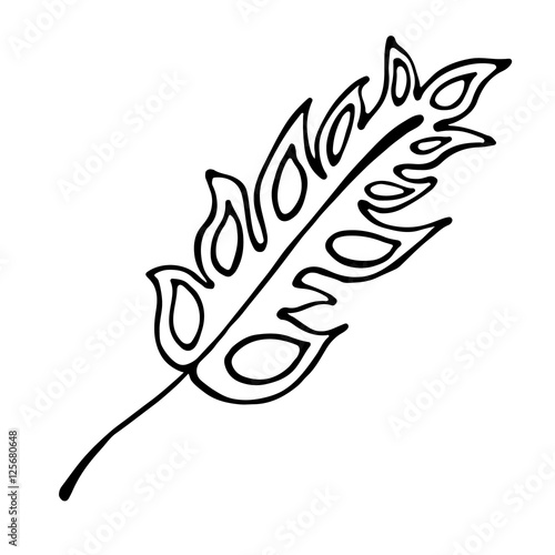 Vector hand drawn illustration, decorative ornamental stylized feather. Black and white graphic illustration isolated on the white background. Inc drawing silhouette.