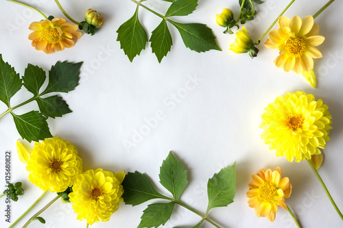 Slika na platnu Framing of yellow flowers and green leaves dahlia