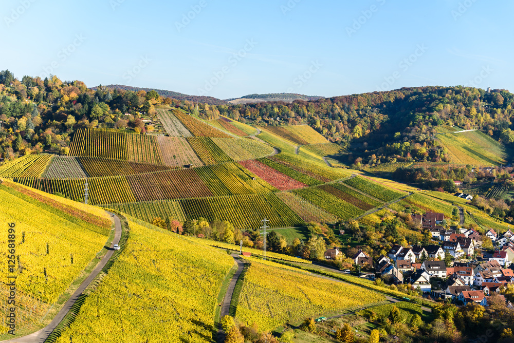 Vineyards at Stuttgart, Uhlbach at the Neckar Valley - beautiful landscape in autum in Germany