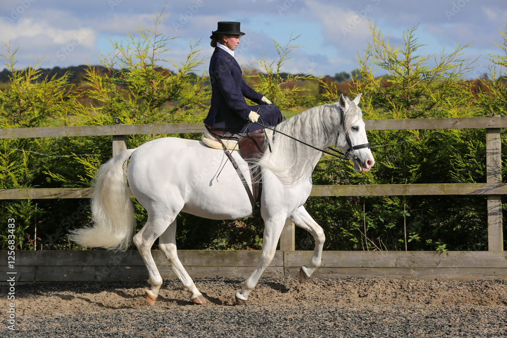 Girl riding side saddle on white horse Girl riding side saddle on white horse