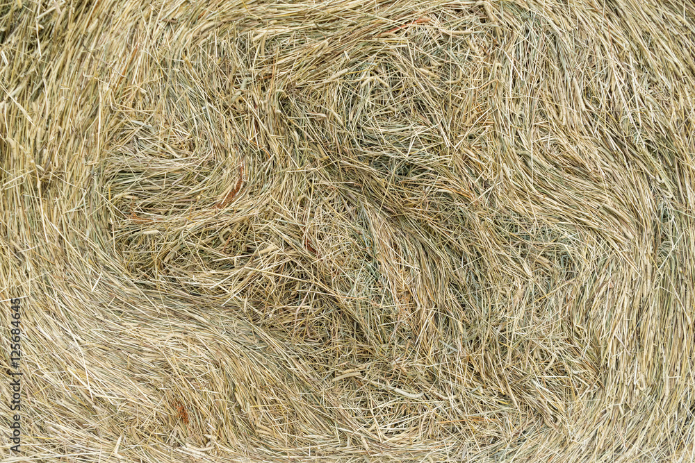 Hay cock texture close-up view
Hay cock texture close-up view