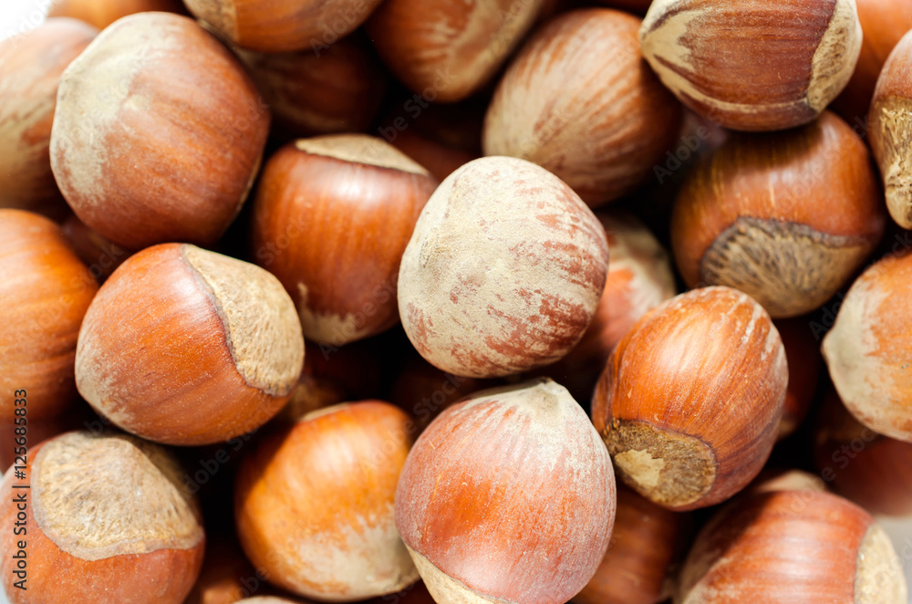 Hazelnuts close-up .Background for design Hazelnuts close-up .Background for design