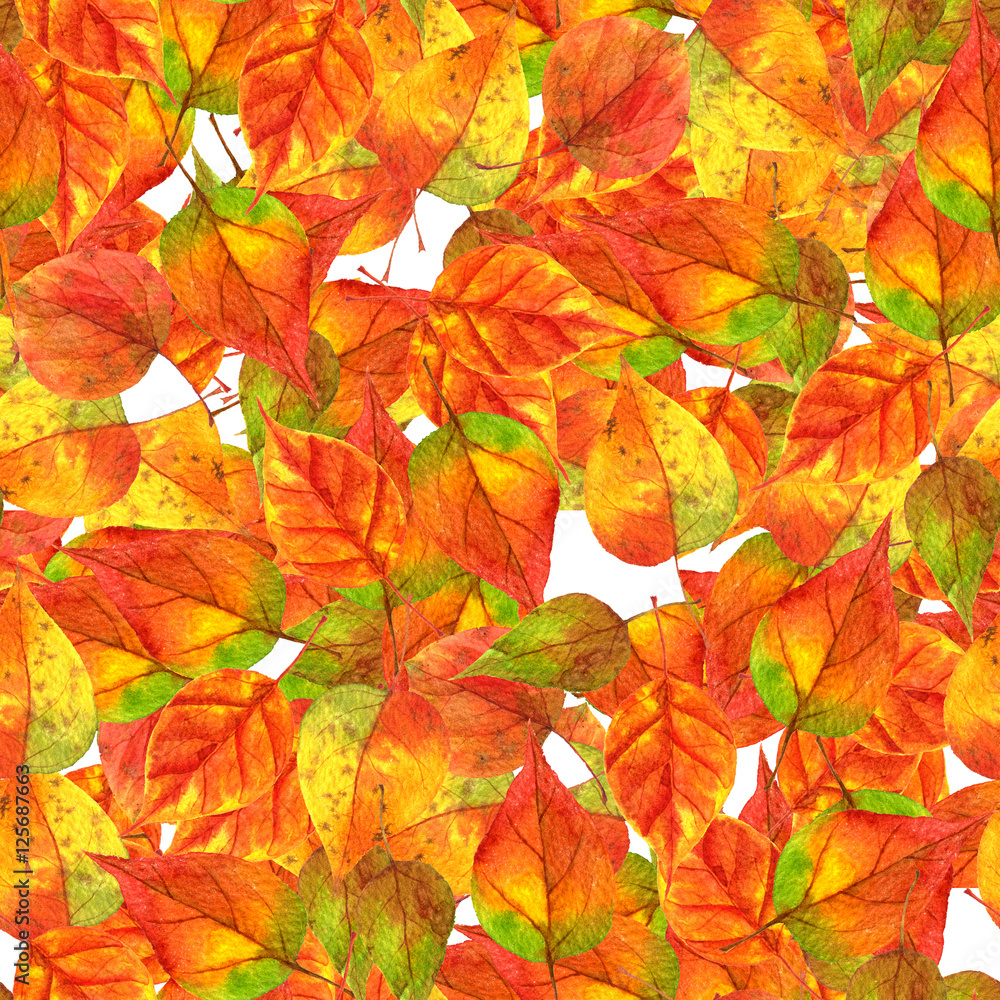 seamless pattern with rainbow autumn leaves