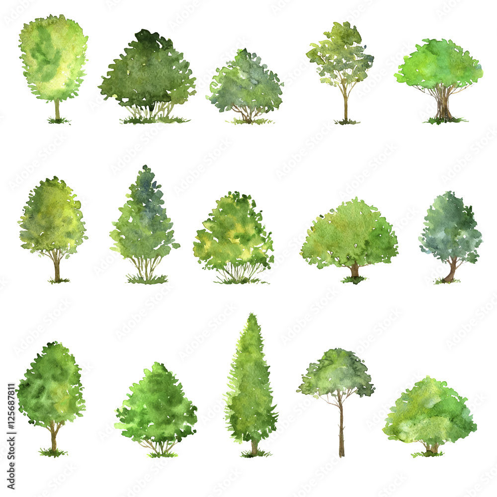 Fototapeta premium wektor zestaw drzew rysunek akwarelą