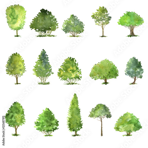 Valokuva vector set of trees drawing by watercolor