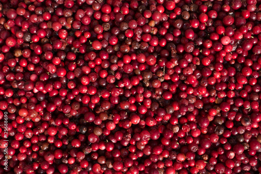 Preiselbeeren Schweden Preiselbeeren Schweden