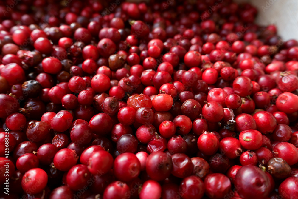 Preiselbeeren Schweden Preiselbeeren Schweden