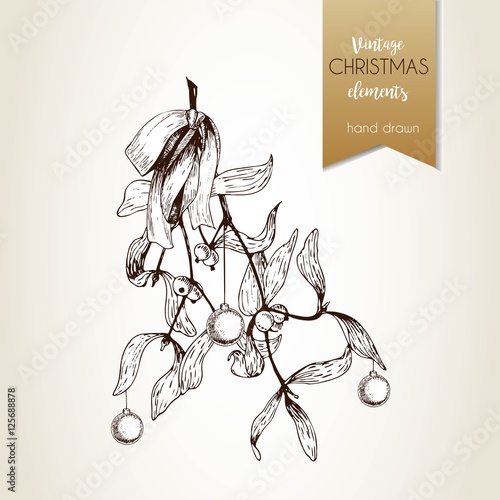 Vector hand drawn illustration of mistletoe branches bounded with bow. Christmas engraved decoration.