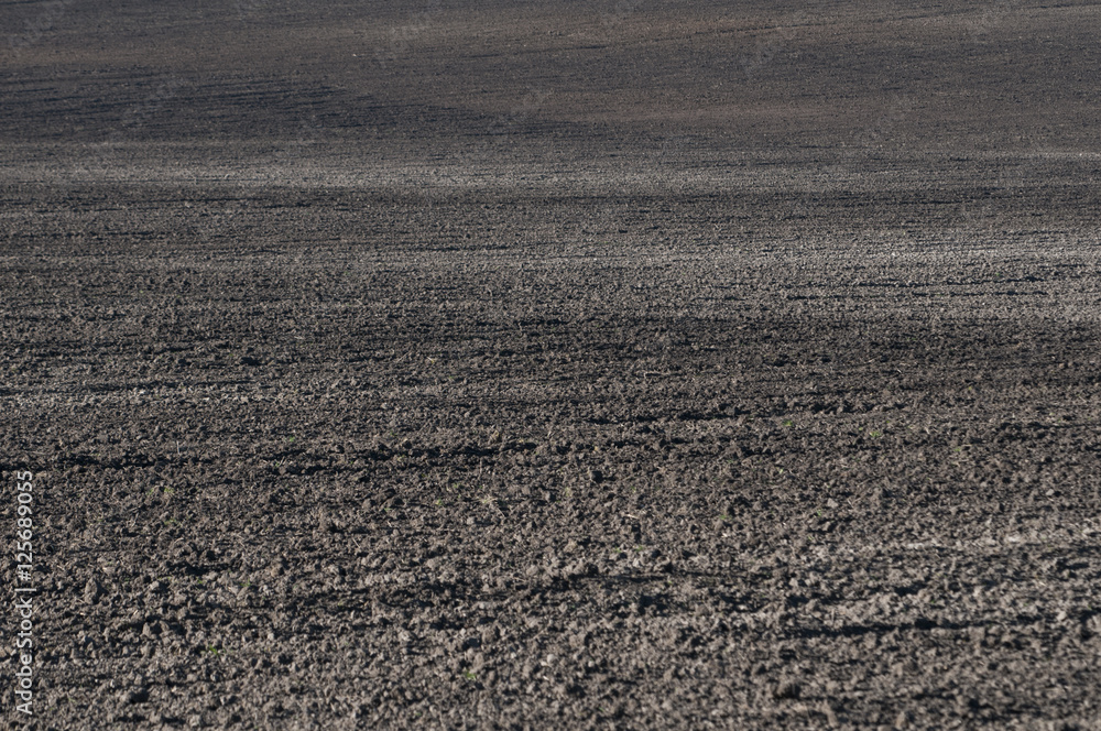Plowed Field - Agriculture in Poland
Plowed Field - Agriculture in Poland