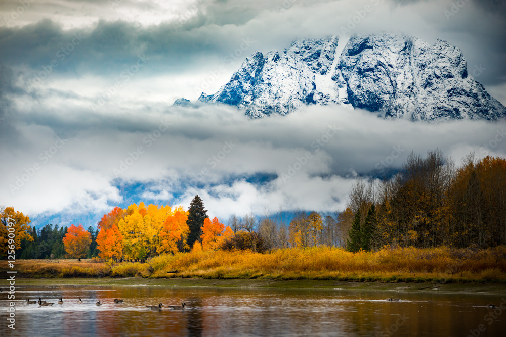 Fototapeta premium Grand Teton National Park Fall Colors