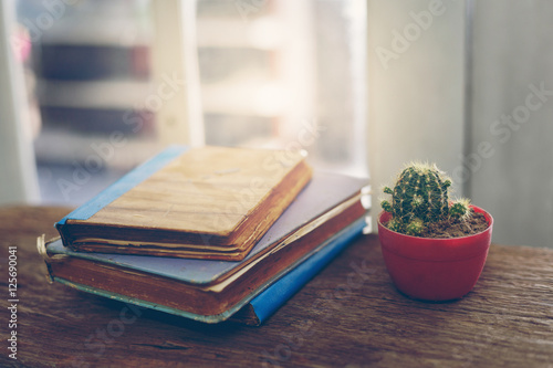 Background cactus and old books on wood.