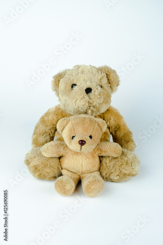 Two brown bear dolls. Bear family. White background.