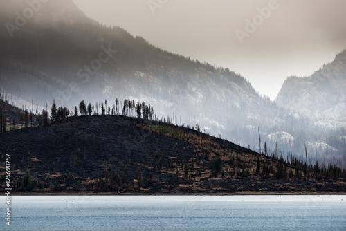 Wildfire aftermath Jackson Lake Grand Teton