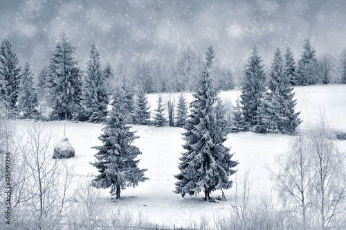 Winter landscape with snowy trees and snowflakes © salajean