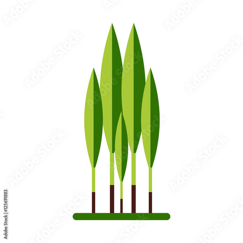 Ramson icon isolated on white background. Kamchatka Wild Garlic.