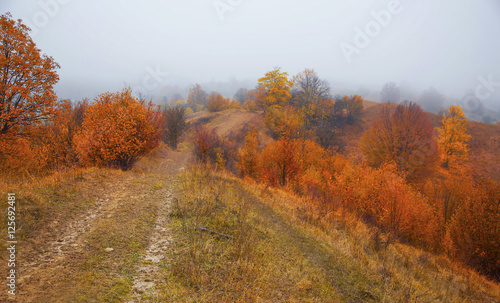 Foggy morning on countryside road in the autumn