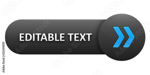 BLUE VECTOR BUTTON with EDITABLE TEXT