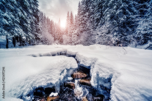 winter river at forest