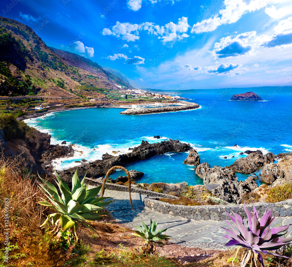 Cala y mar.Isla de Tenerife.Canarias.Paisaje marino y roca volcanica.Viajes y aventuras por la costa.Vegetación y acantilado bajo los rayos del sol