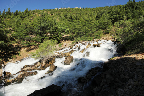 Beautiful waterfall in green forest