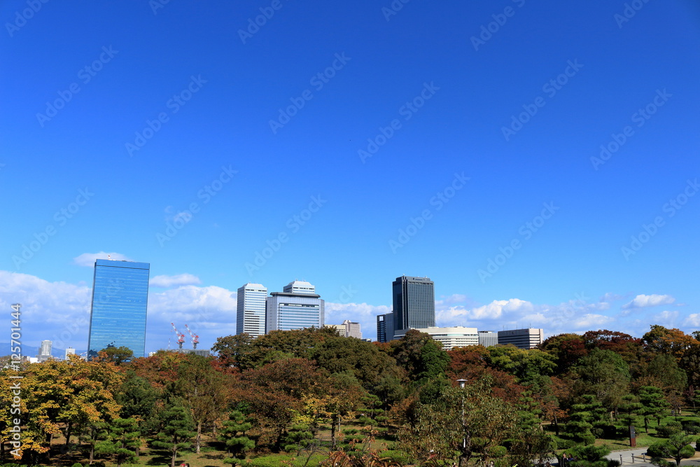 大阪城公園の秋