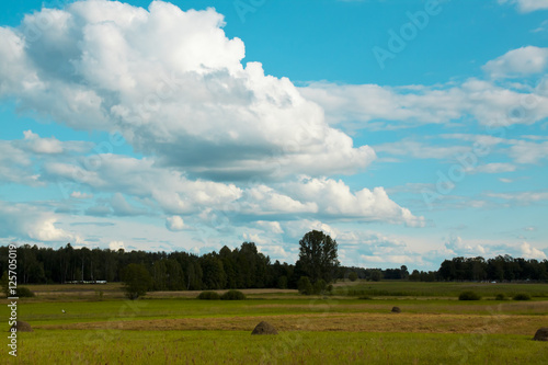 Krajobraz polskiej wsi