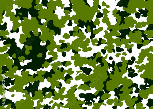 Veterans Day, seamless pattern, camouflage. Hakki. photo