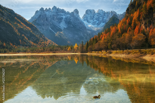 Autumn scenery of Lake Landro in Dolomite Alps, Italy photo