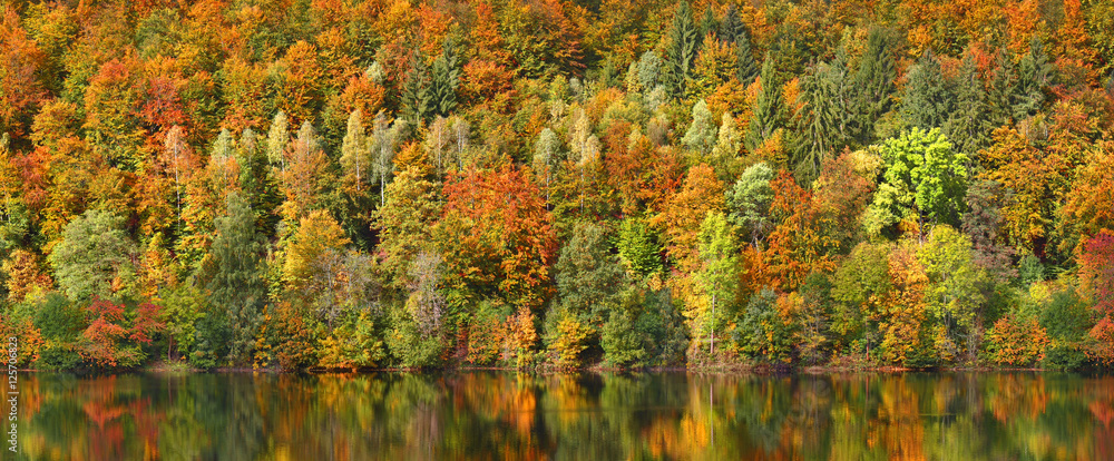  Autumn forest by the lake