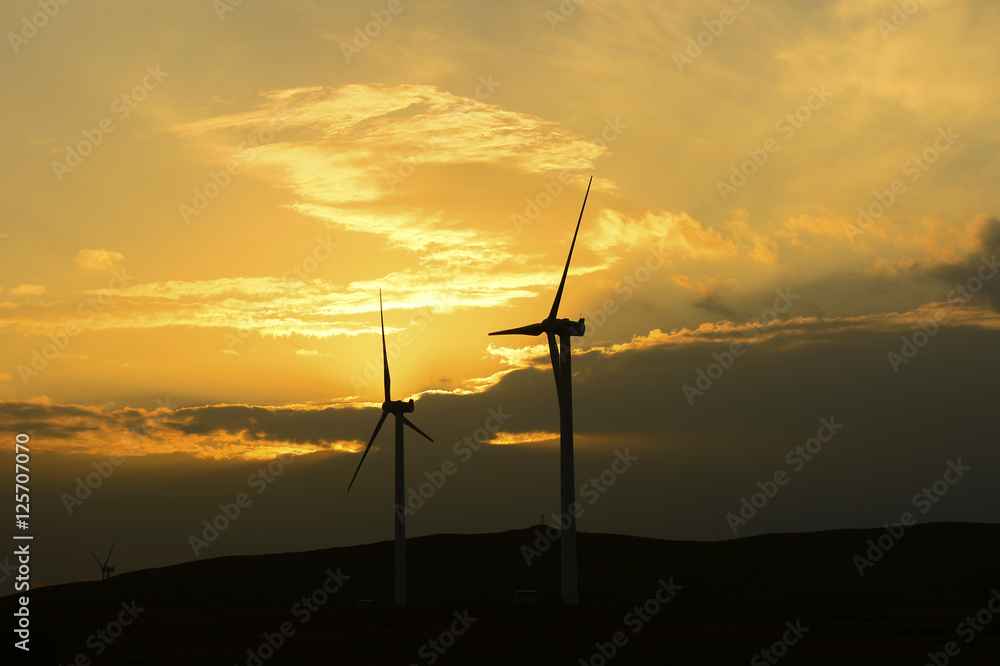 Obraz premium The windmill