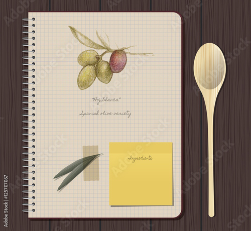 Recipes notebook and olives hand drawn: "Hojiblanca" Spanish olive variety
