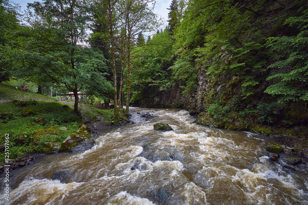 Kura river in Borjomi national park, Georgia Kura river in Borjomi national park, Georgia