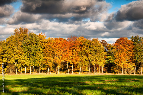 Fototapeta Naklejka Na Ścianę i Meble -  Beautiful autumn landscape in the countryside