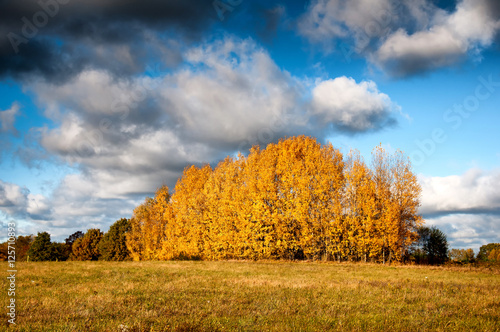 Beautiful autumn landscape in the countryside