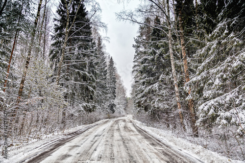 beautiful winter landscape. Empty road in the winter pine forest