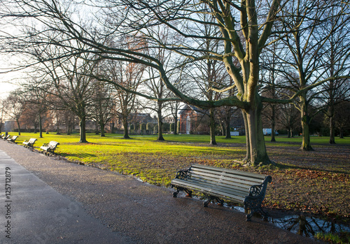 Park bench in the morning light autumn